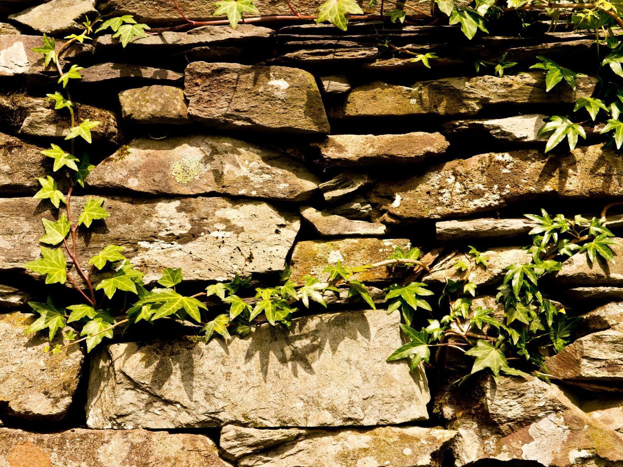 Yha Langdale Hostel Ambleside Ngoại thất bức ảnh